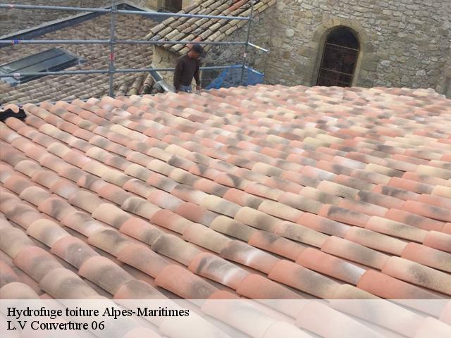 Hydrofuge toiture Alpes-Maritimes 
