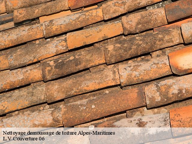 Nettoyage demoussage de toiture Alpes-Maritimes 
