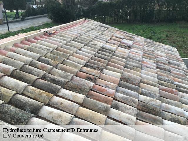 Hydrofuge toiture  chateauneuf-d-entraunes-06470 L.V Couverture 06