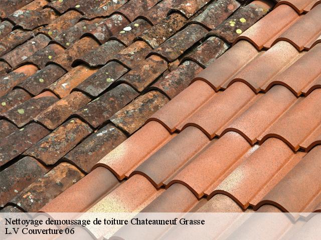 Nettoyage demoussage de toiture  chateauneuf-grasse-06740 L.V Couverture 06