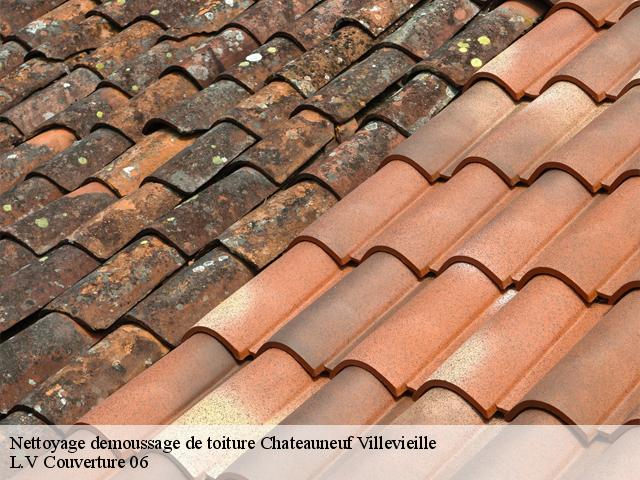Nettoyage demoussage de toiture  chateauneuf-villevieille-06390 L.V Couverture 06