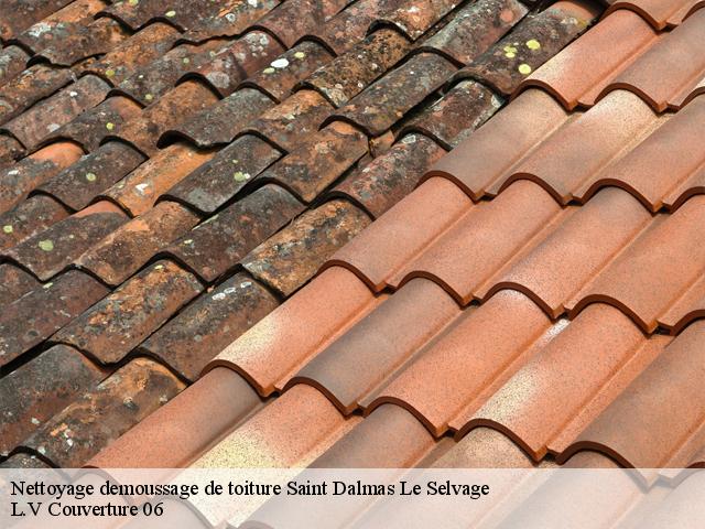 Nettoyage demoussage de toiture  saint-dalmas-le-selvage-06660 L.V Couverture 06