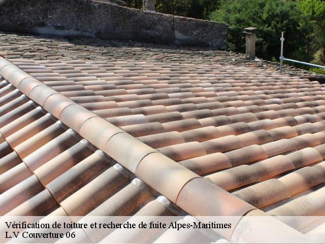 Vérification de toiture et recherche de fuite Alpes-Maritimes 