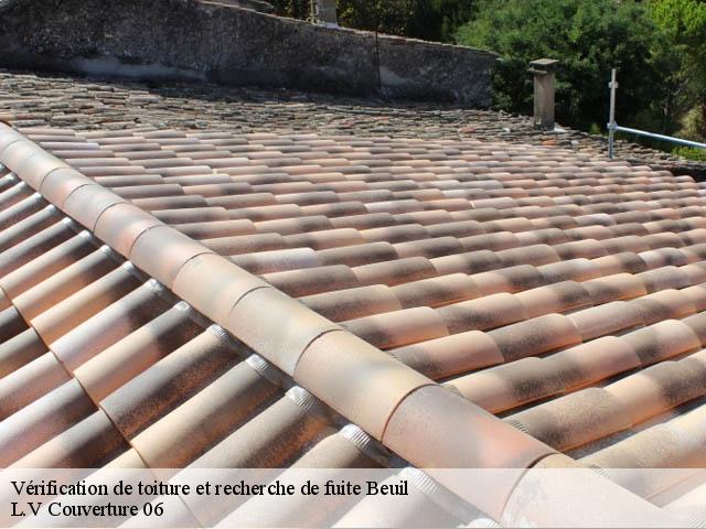 Vérification de toiture et recherche de fuite 06470