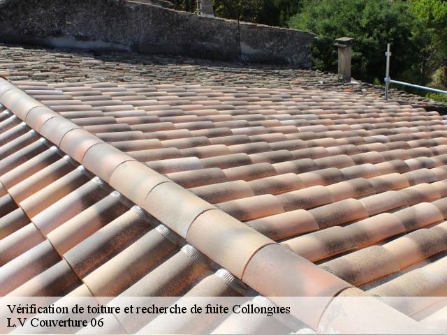 Vérification de toiture et recherche de fuite 06910