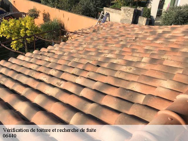 Vérification de toiture et recherche de fuite 06440