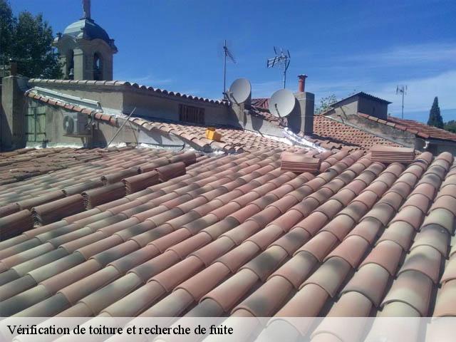 Vérification de toiture et recherche de fuite 06440
