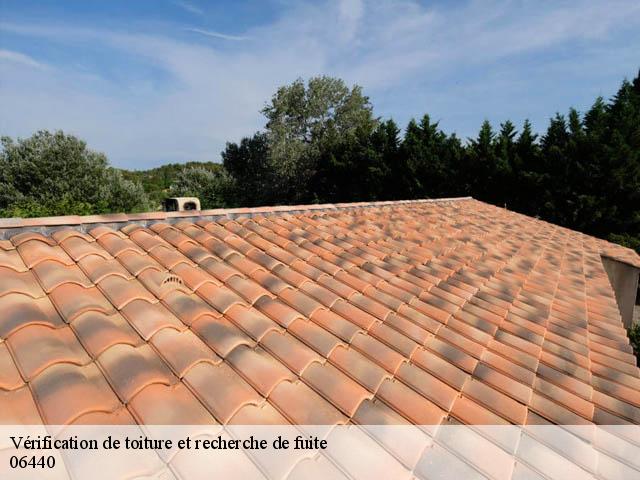 Vérification de toiture et recherche de fuite 06440