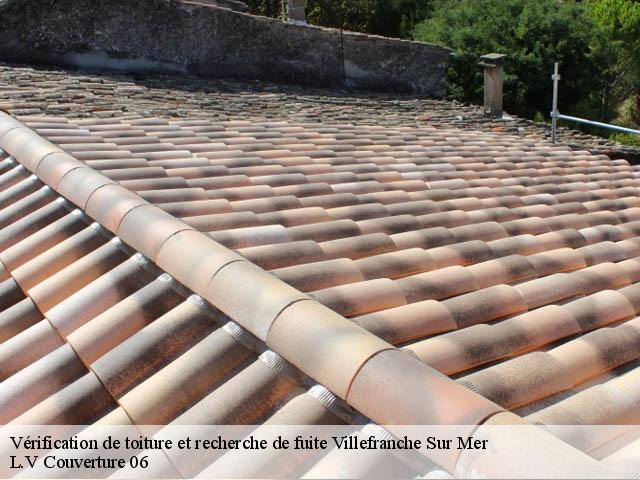 Vérification de toiture et recherche de fuite 06230