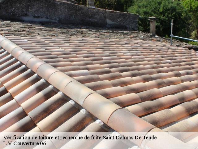 Vérification de toiture et recherche de fuite 06430