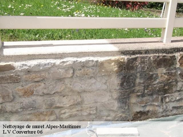 Nettoyage de muret Alpes-Maritimes 