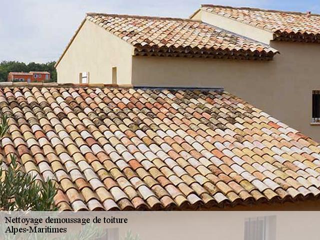 Nettoyage demoussage de toiture Alpes-Maritimes 