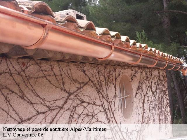 Nettoyage et pose de gouttière Alpes-Maritimes 