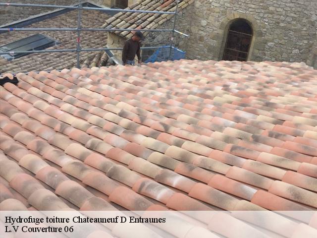 Hydrofuge toiture 06470