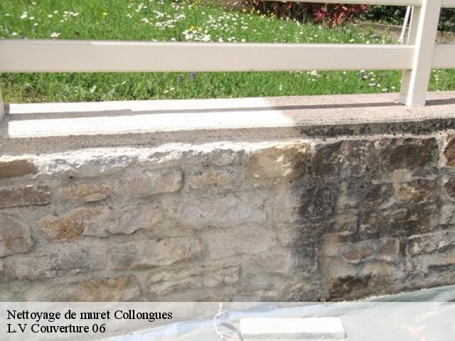 Nettoyage de muret 06910