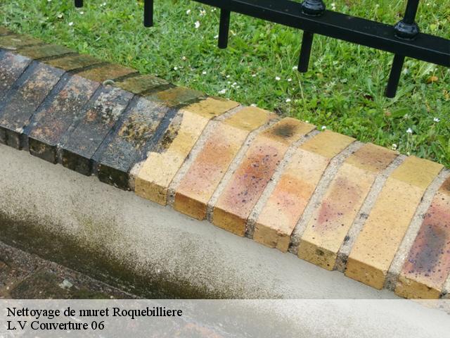 Nettoyage de muret  roquebilliere-06450 L.V Couverture 06