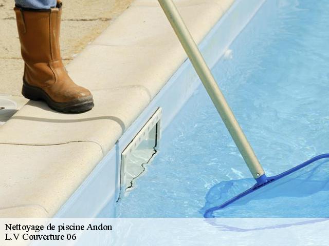 Nettoyage de piscine  06750