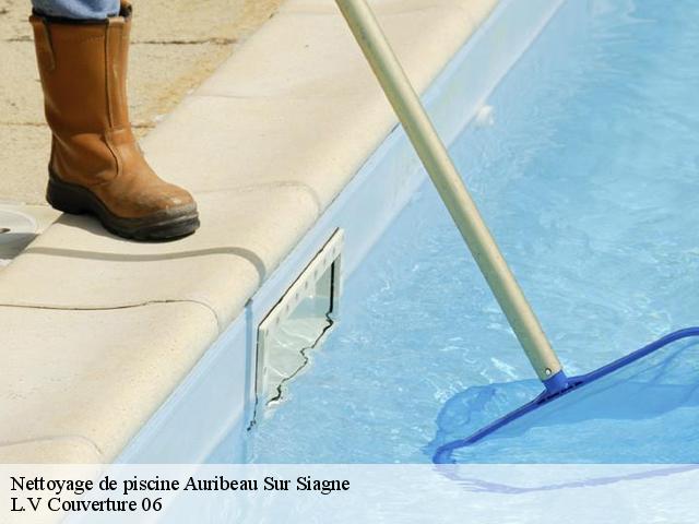 Nettoyage de piscine  06810