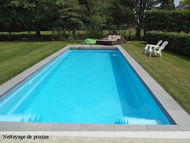 Nettoyage de piscine  06410