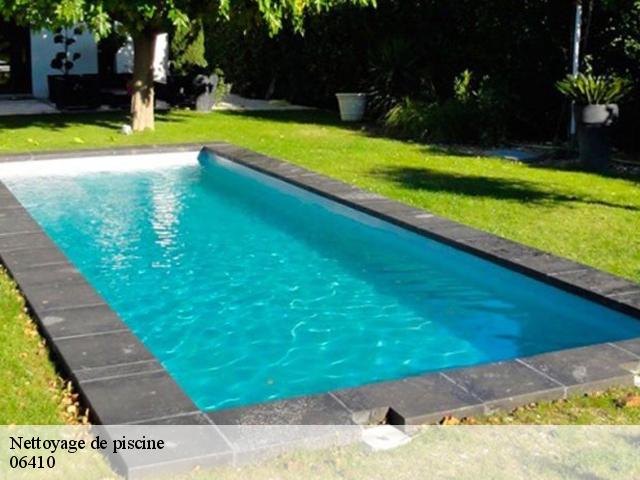 Nettoyage de piscine  06410