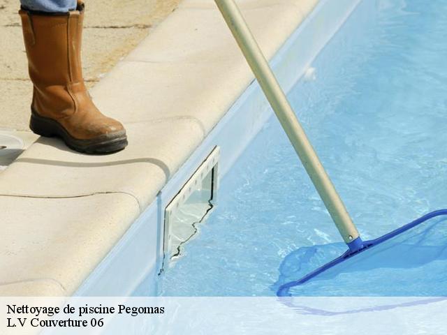 Nettoyage de piscine  06580