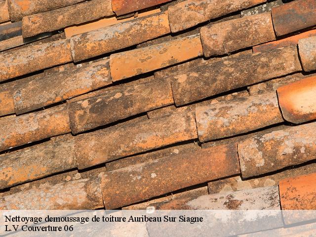 Nettoyage demoussage de toiture 06810