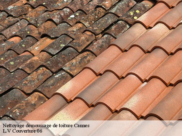 Nettoyage demoussage de toiture  cannes-06400 L.V Couverture 06