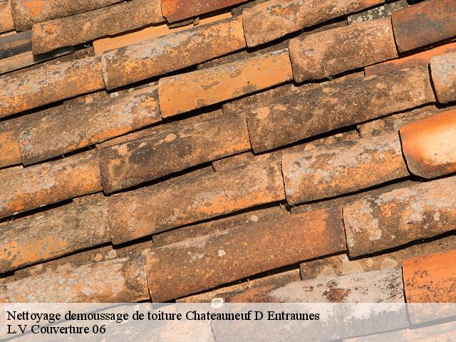 Nettoyage demoussage de toiture 06470