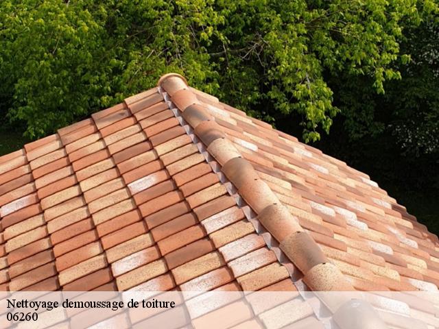 Nettoyage demoussage de toiture 06260