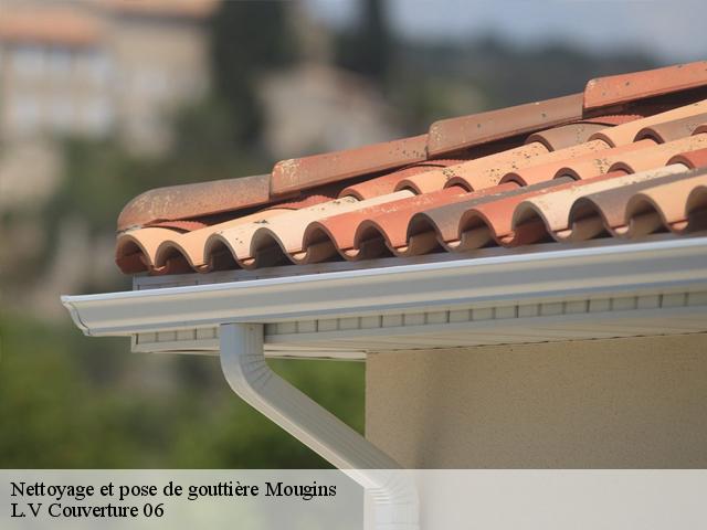 Nettoyage et pose de gouttière  mougins-06250 L.V Couverture 06